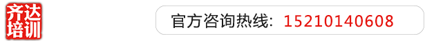 插B视频在线看无码齐达艺考文化课-艺术生文化课,艺术类文化课,艺考生文化课logo